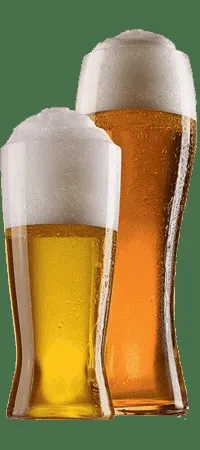 Two glasses of golden and amber beer with white heads, green background.