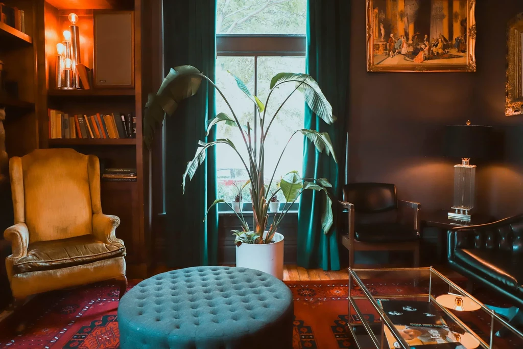 Elegant, moody room with books, plants, teal ottoman, and seating.