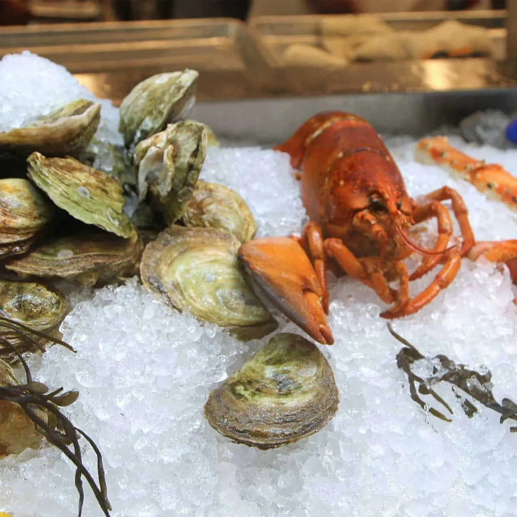 Raw oysters and a cooked lobster on crushed ice.