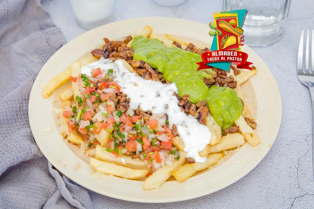 A plate of loaded fries topped with meat, salsa, sour cream, and guacamole.