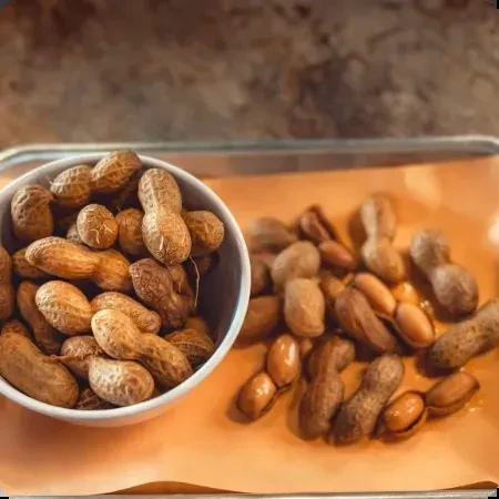 Wet boiled peanuts in a bowl and scattered on a light sheet.