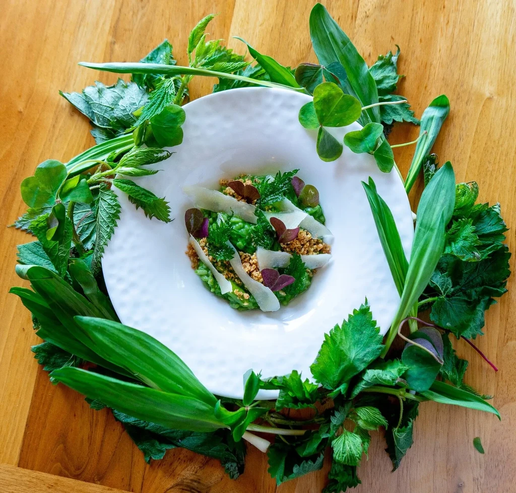 Vibrant green dish garnished with Parmesan, crumble, herbs, and leaves.
