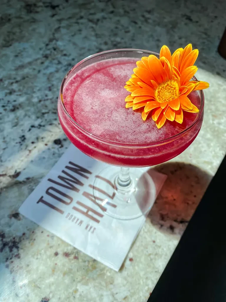 Berry cocktail in coupe glass, garnished with orange gerbera daisy.