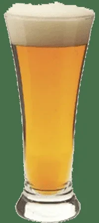 Tall glass of golden-amber beer with thick white foam.