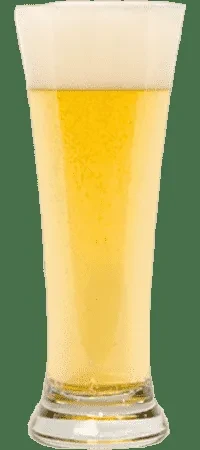 Tall glass of golden beer with a frothy white head.