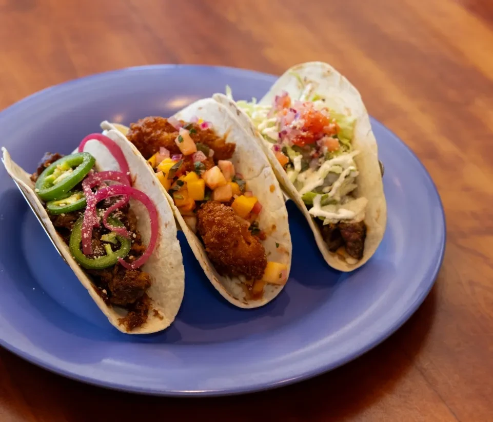 Three soft-shell tacos with diverse fillings and toppings on a blue plate.