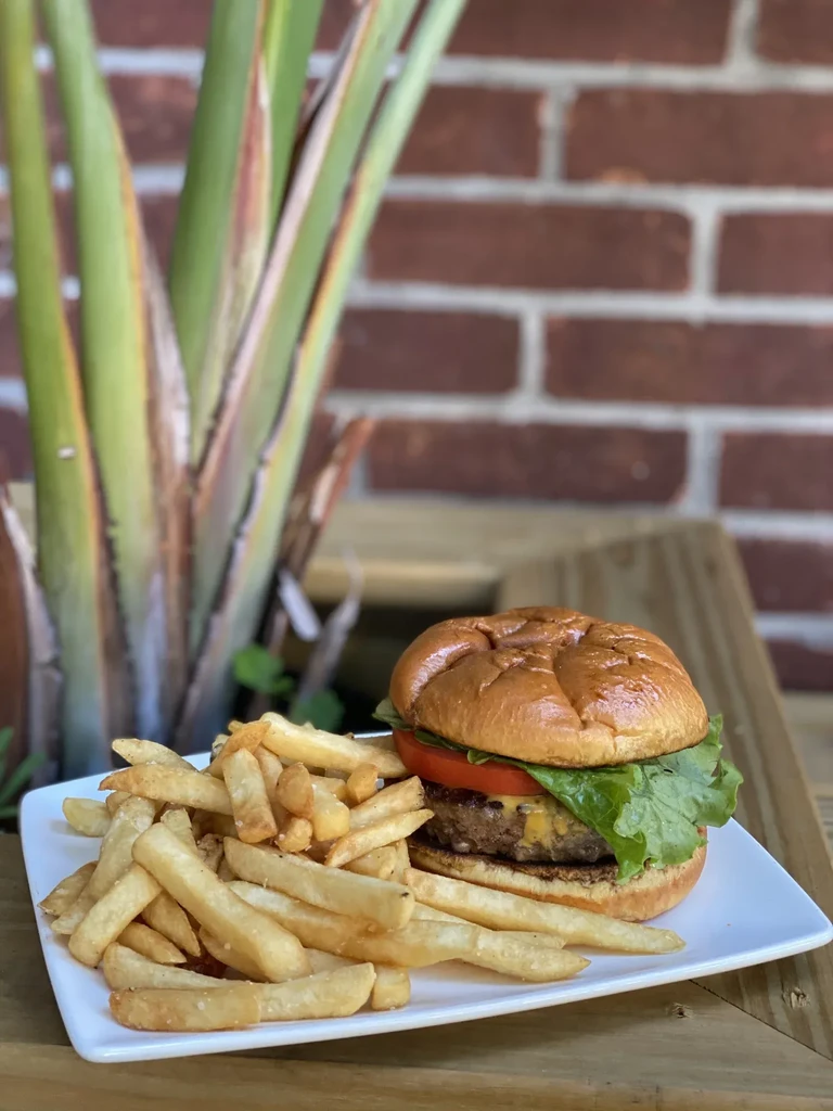 A classic cheeseburger with melted cheese, lettuce, tomato, and golden fries.