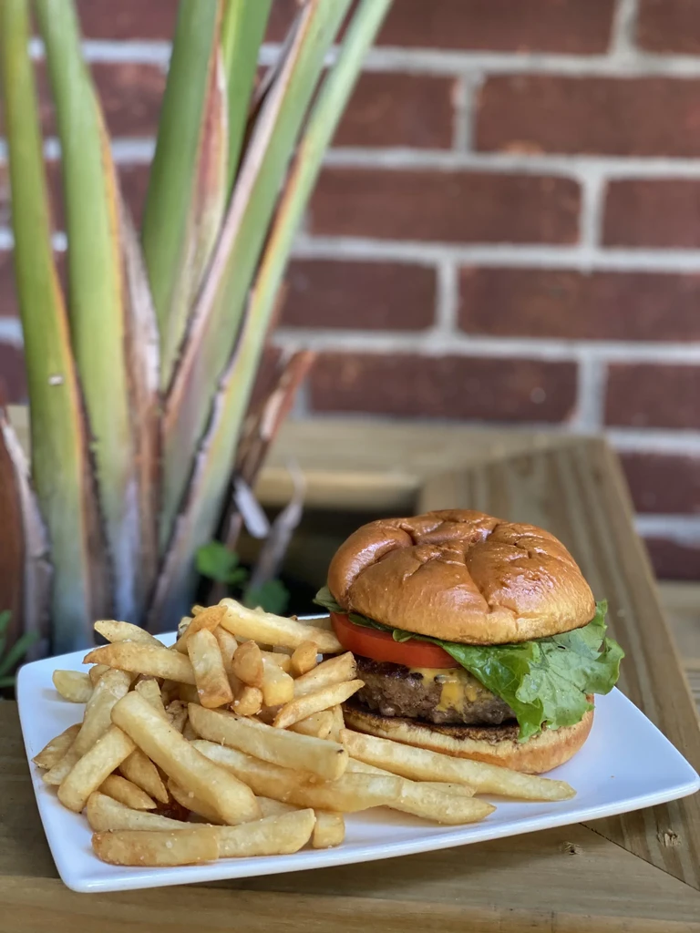 Classic hamburger and crispy fries on a white plate outdoors.