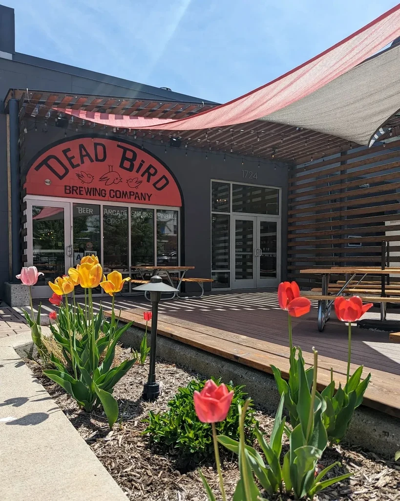 Modern Dead Bird Brewing Company exterior, sign, patio, and colorful tulips.