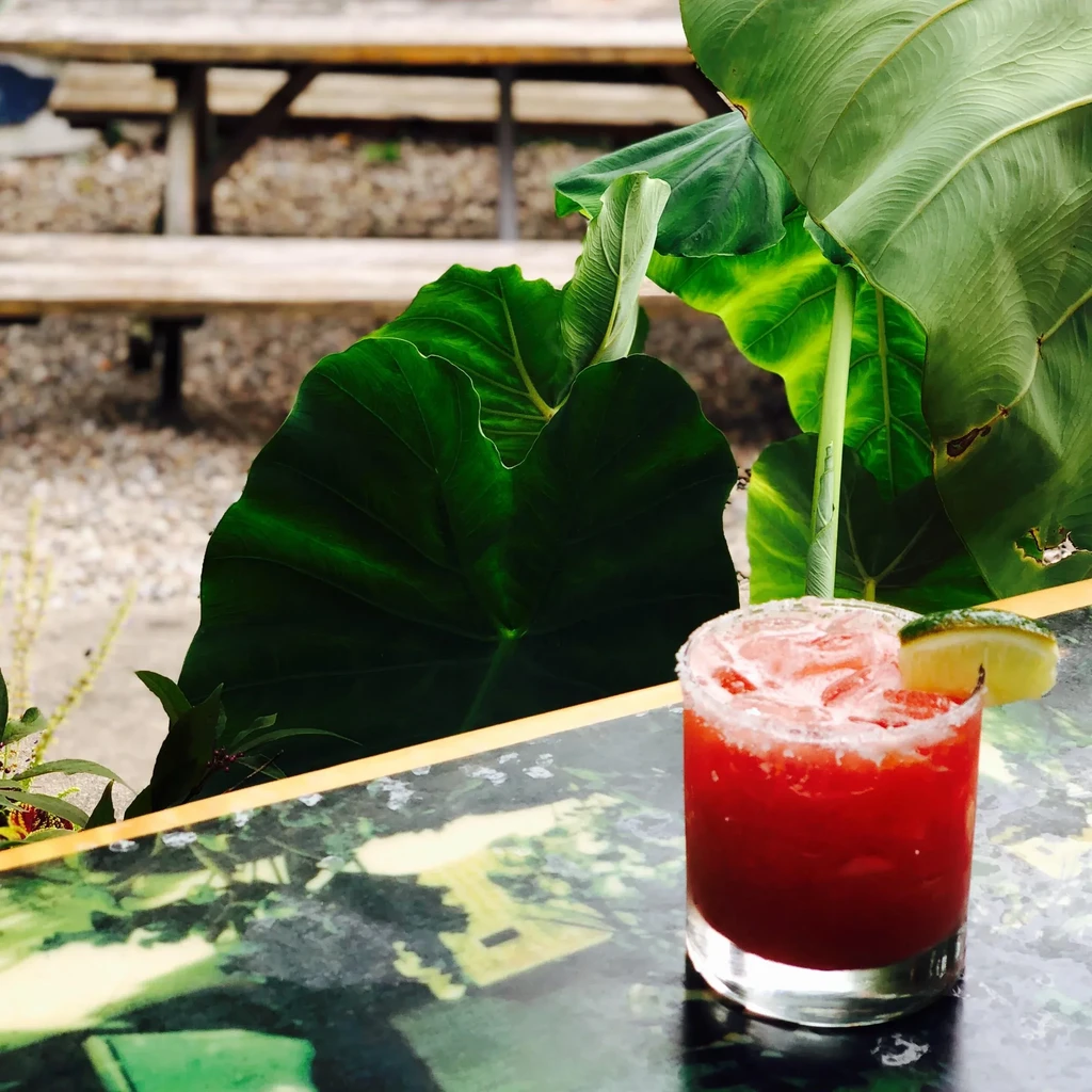 Red cocktail with salted rim, lime, and tropical plants outdoors.