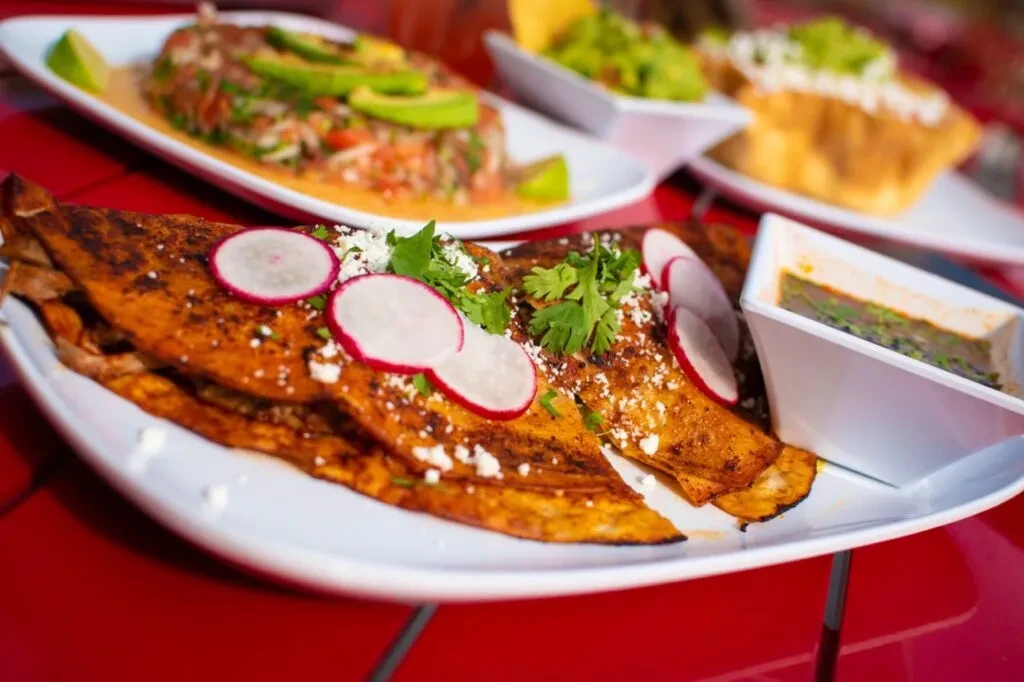 Charred quesadillas with cilantro, cheese, radish, green sauce; other Mexican dishes.
