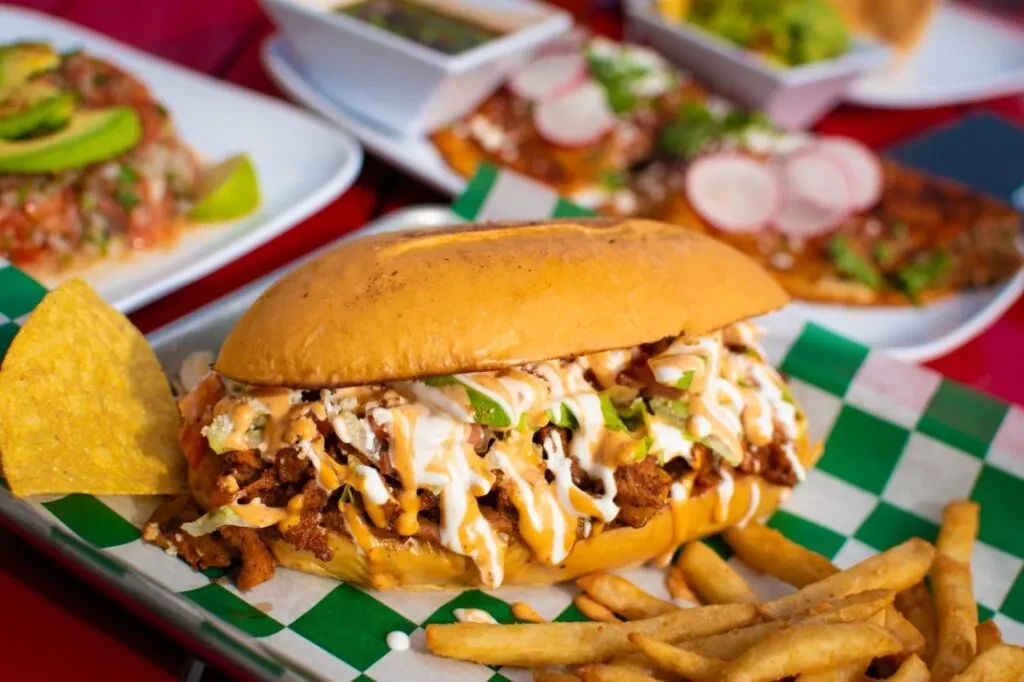 Large shredded meat sandwich with two sauces, fries, and a chip.