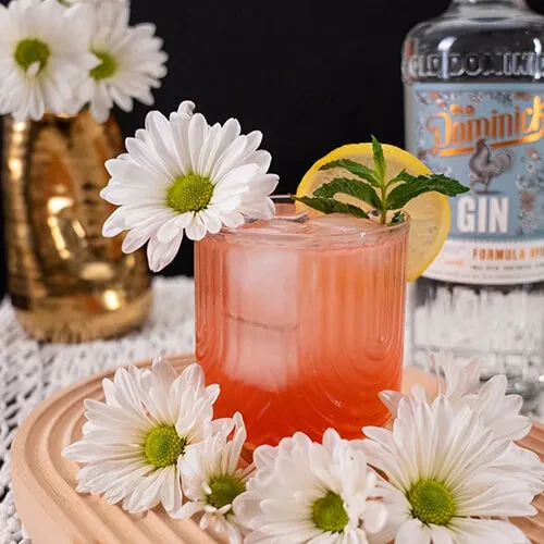 Pink-orange cocktail with a daisy, lemon, mint, and Dominick Gin.