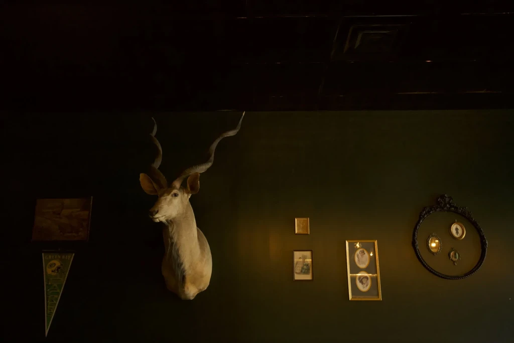 Taxidermied Kudu head with long horns, surrounded by vintage wall decor.