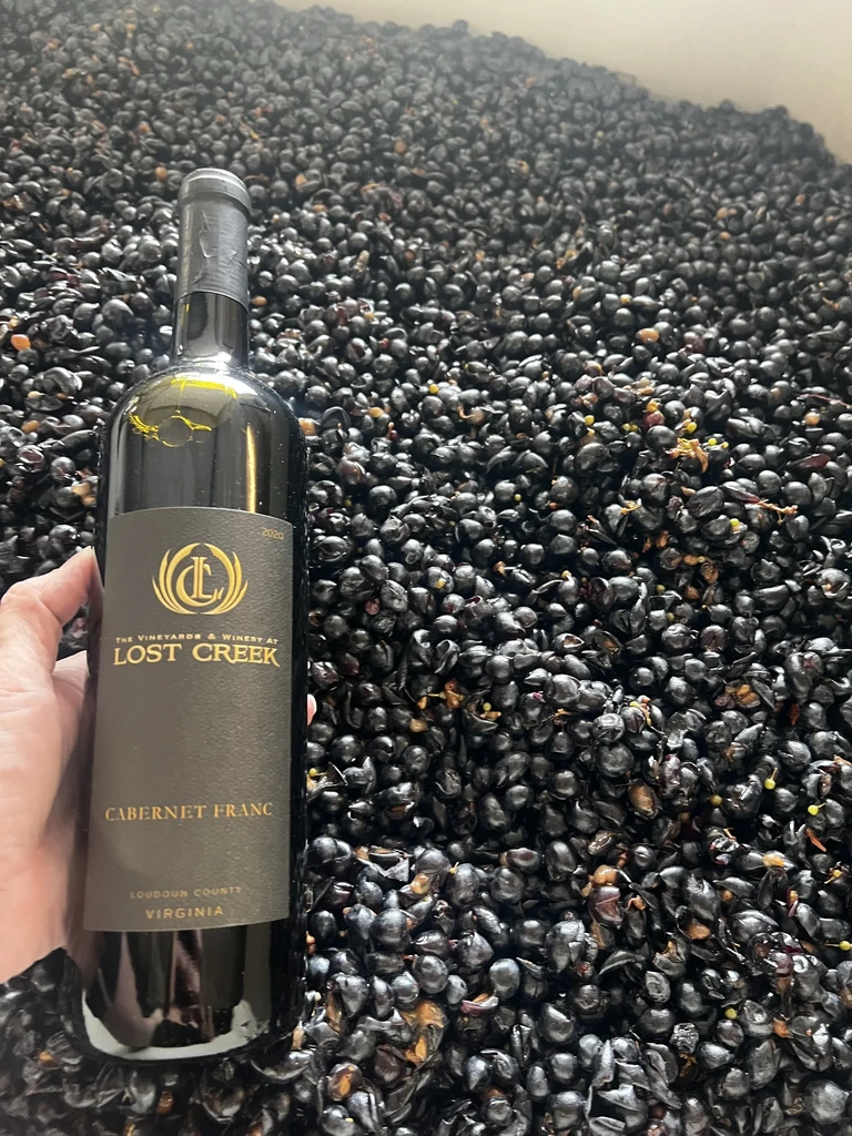 Hand holds Lost Creek wine bottle against a background of grape skins.