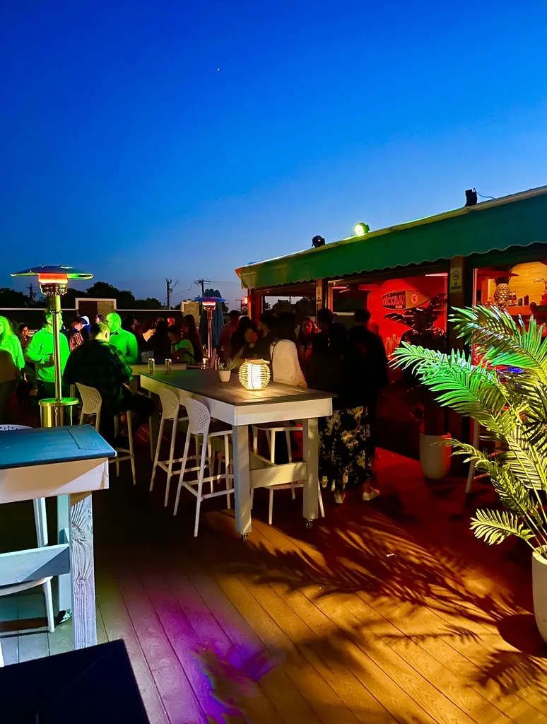 Lively outdoor bar at dusk with people, colorful lighting, and plants.