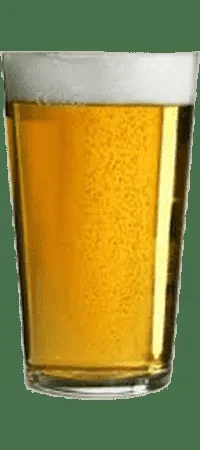 Pint glass of golden, carbonated beer with foam on dark green.