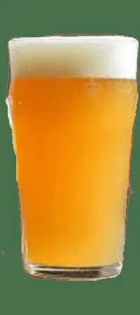 Pint glass of golden beer with foamy head and condensation.