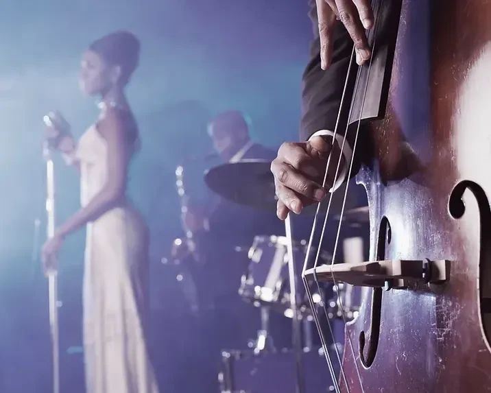 Musician's focused hands playing upright bass on a smoky stage.