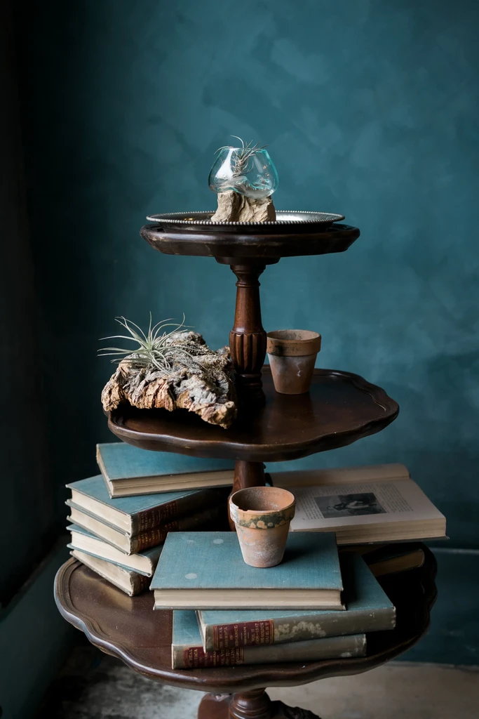 Multi-tiered wooden stand displaying air plants, vintage books, and terracotta pots.