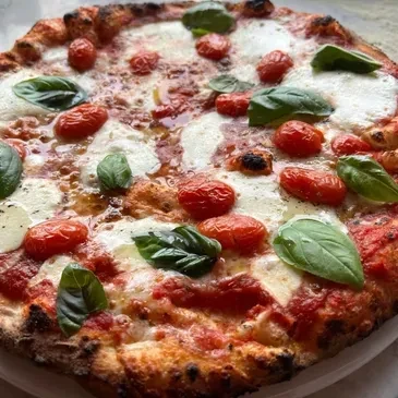 Freshly baked pizza with tomato sauce, melted mozzarella, cherry tomatoes, basil.