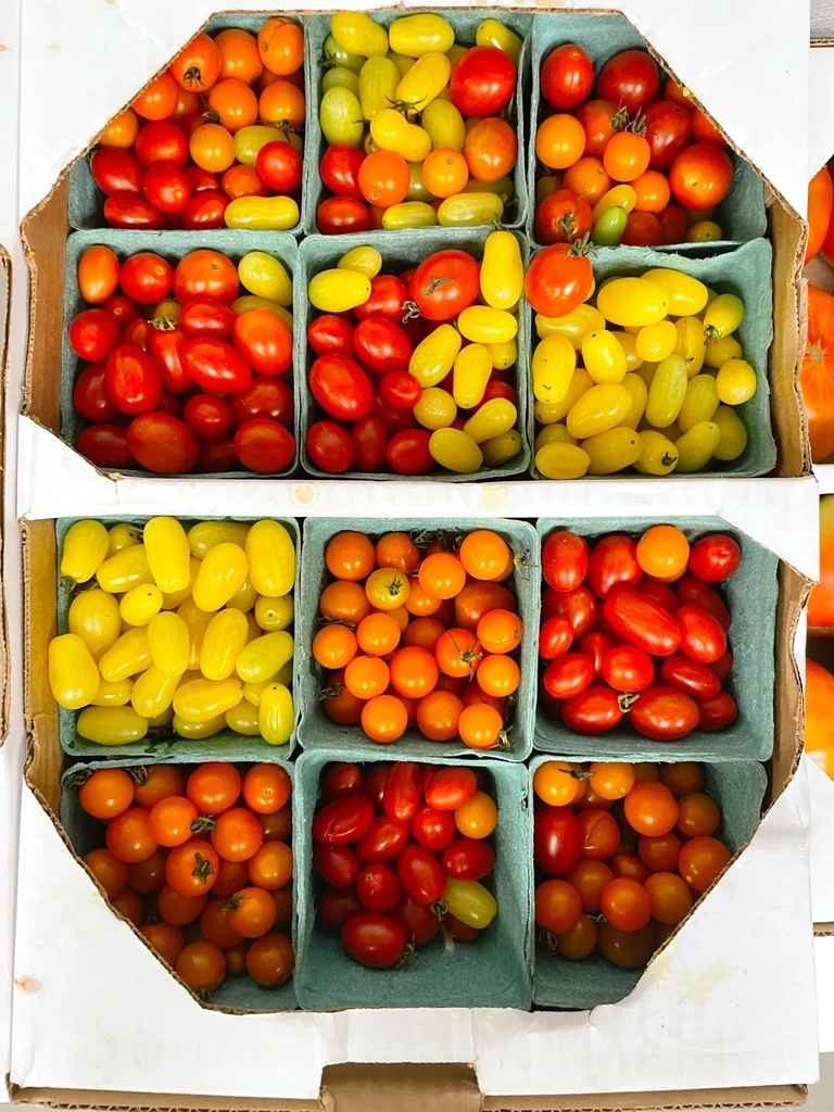 Top-down: box of colorful cherry and grape tomato punnets.