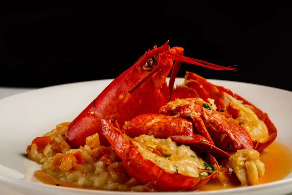 Vibrant red whole lobster with creamy risotto, sauce, and herb garnish.