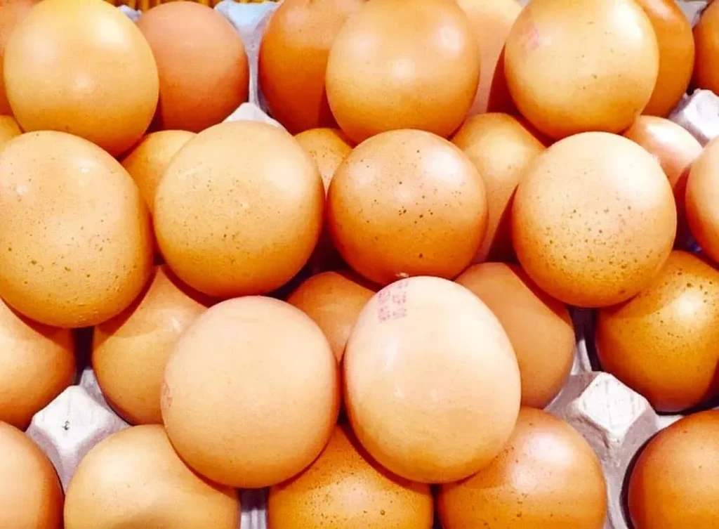 Tightly packed light brown speckled chicken eggs in cartons.