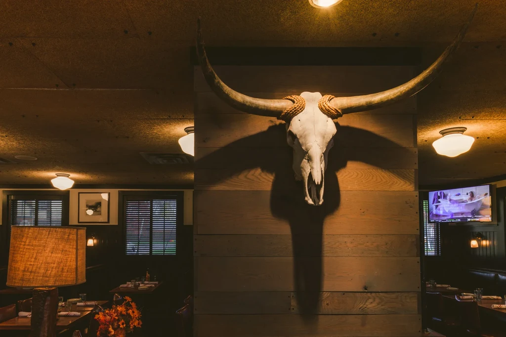 Bleached longhorn skull with wide horns mounted on a rustic wooden wall.