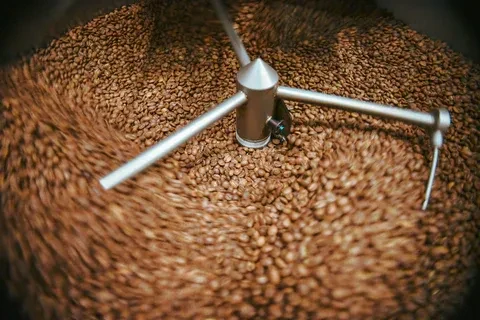 Roasted coffee beans swirl in a cooler, stirred by an agitator.