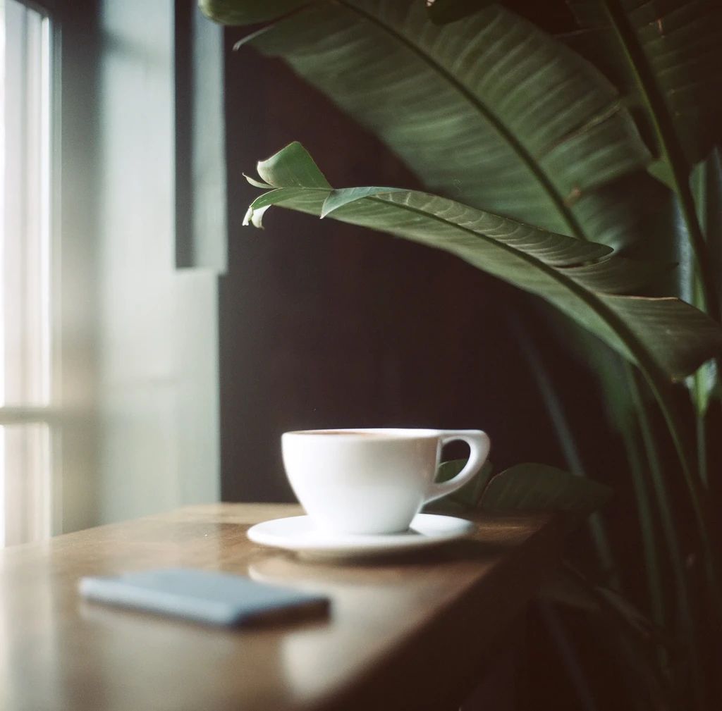 White coffee cup with crema on wood, lush green plant background.