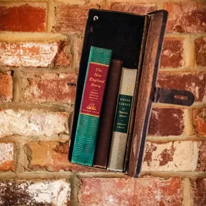 Teal, brown, tan books in a worn box on a brick wall.