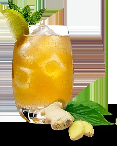 Chilled amber drink with ice, lime, mint, and ginger.