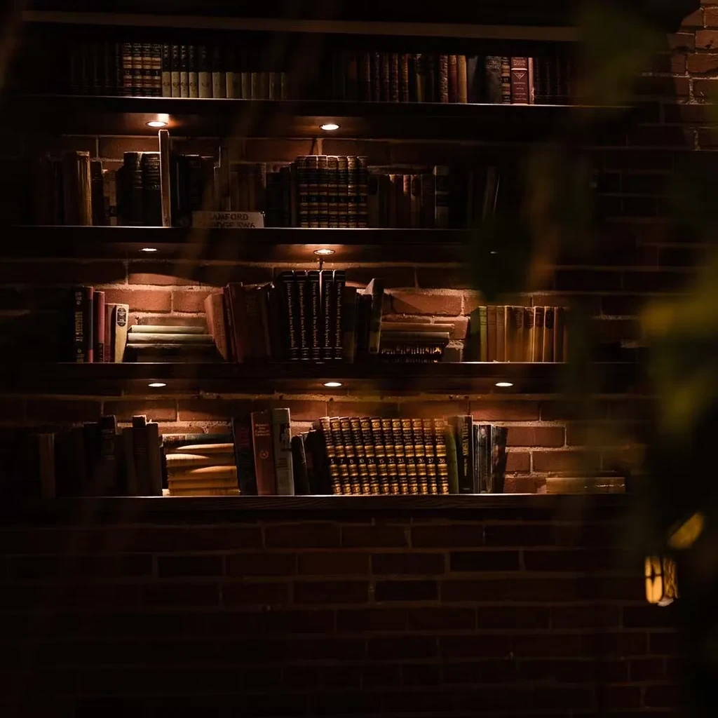 Dark brick wall with spotlighted shelves of numerous old books.