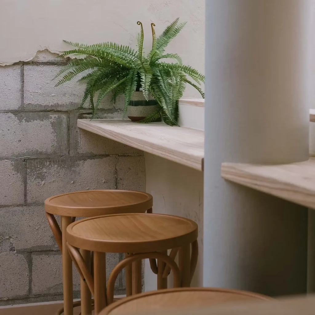 Boston fern on wooden shelf, concrete wall, two wooden stools.