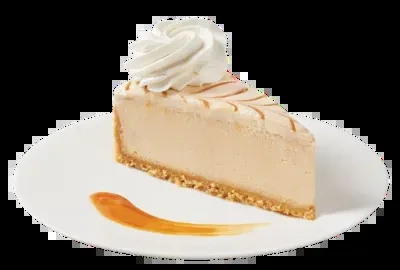 Caramel cheesecake slice with whipped cream, caramel drizzles, and sauce.