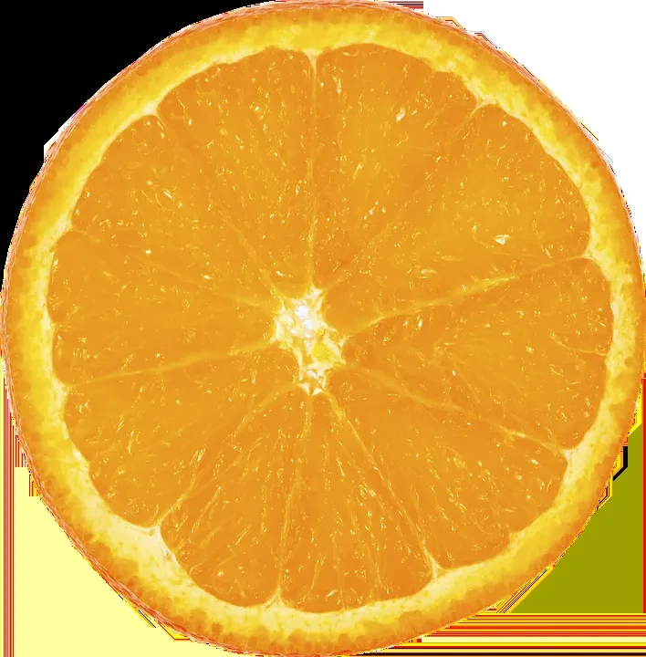 Cross-section of an orange showing juicy pulp, segments, pith, and peel.