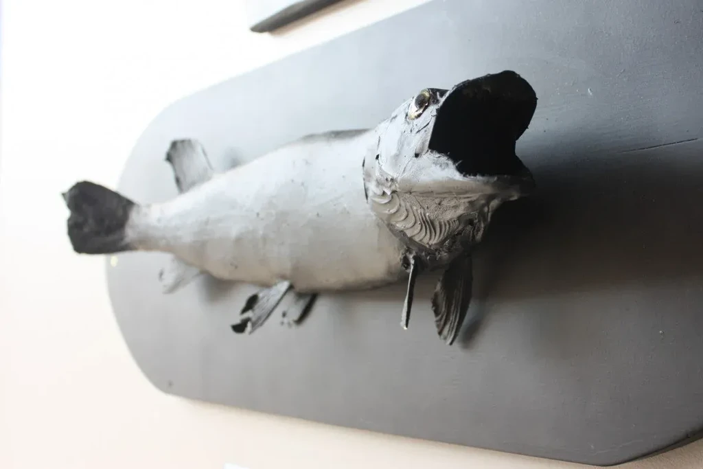 Black taxidermied fish, mouth agape, mounted on a dark board.