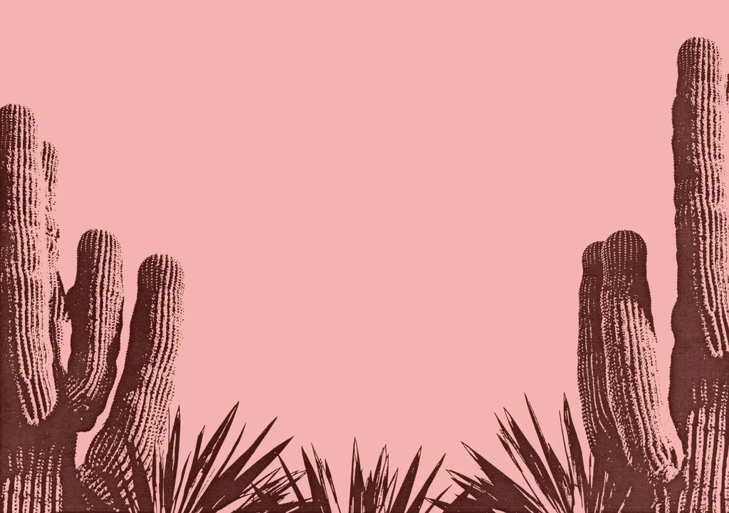Stylized desert graphic with pink sky and reddish-brown saguaros and plants.