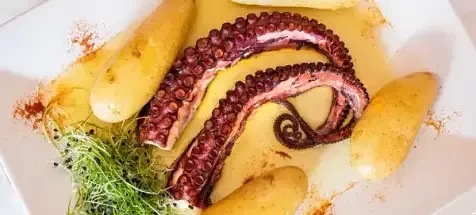 Cooked octopus tentacles with suckers, new potatoes, spices, sprouts.