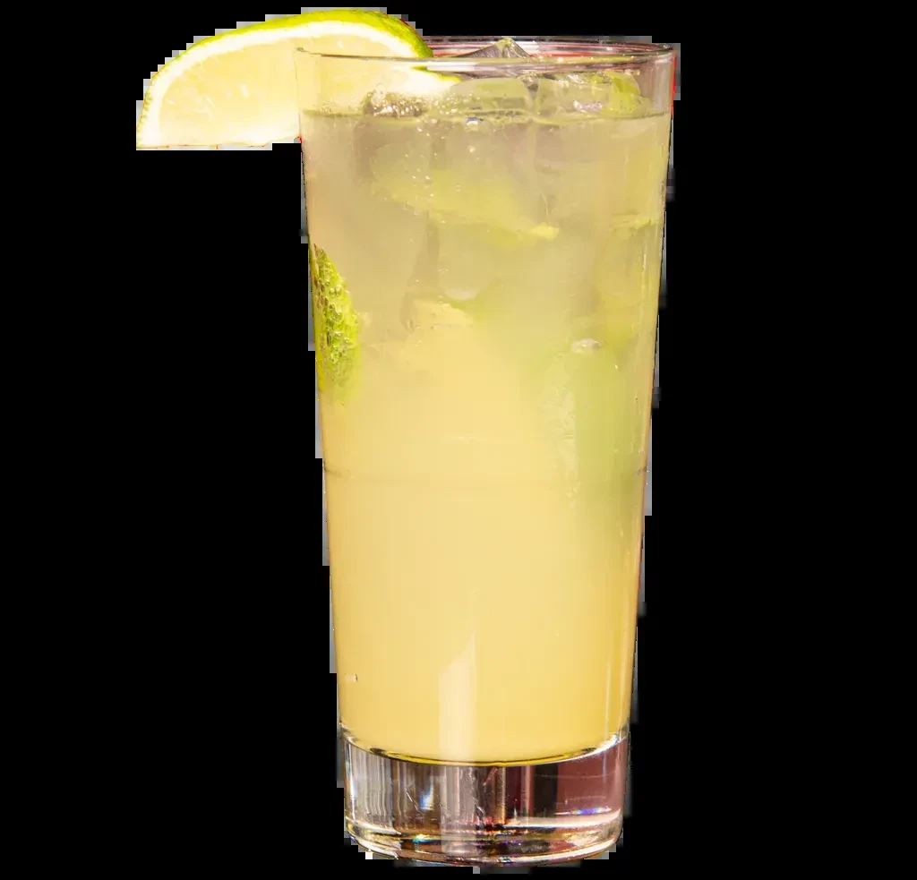 Clear glass with cloudy yellow drink, ice, mint, and lime.
