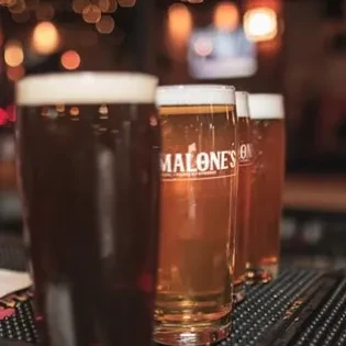 Lined-up glasses of dark and amber beer, one 'MALONES'.