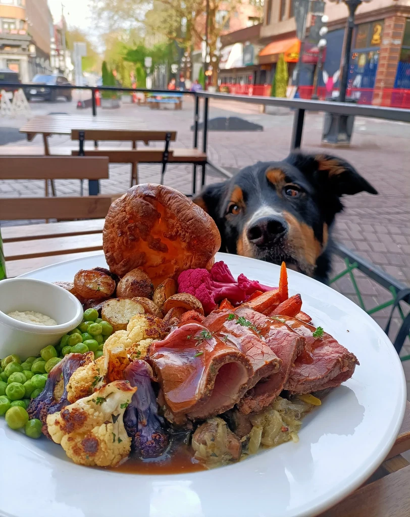 Dog eagerly watches a roast dinner with prominent Yorkshire pudding.