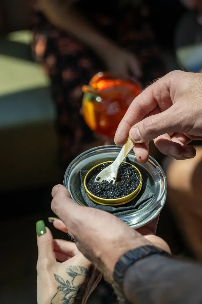 Close-up of hands scooping black caviar from a container on ice.