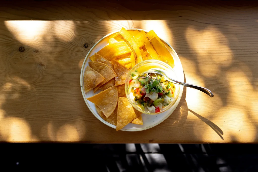 Colorful ceviche bowl surrounded by tortilla and plantain chips.