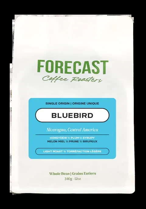 White Forecast Coffee Roasters bag, 'BLUEBIRD' Nicaragua light roast.
