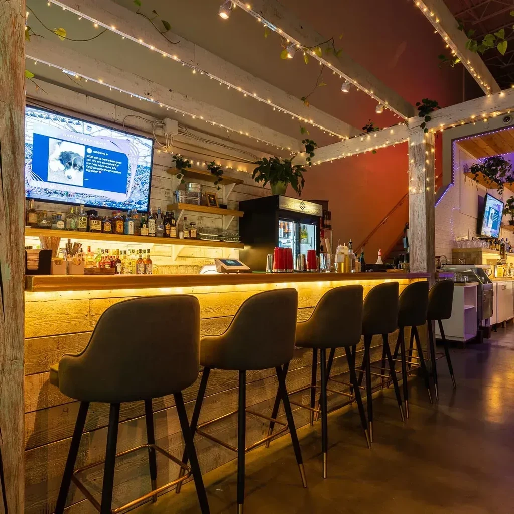 Well-lit bar with wood counter, olive stools, liquor, and fairy lights.