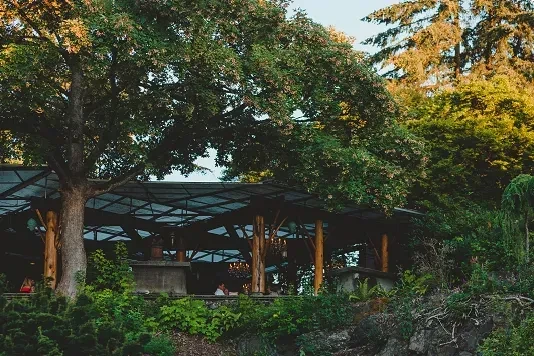 Open-air restaurant with dark roof and wooden pillars in lush forest.