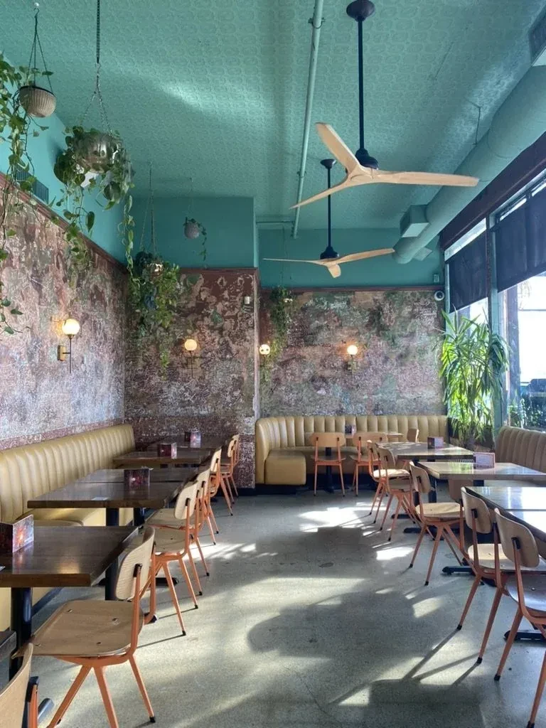 Empty restaurant with teal ceiling, lush green plants, and colorful seating.