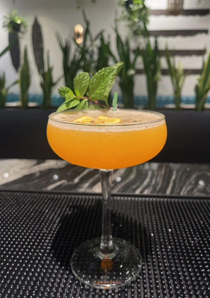 Orange cocktail in coupe glass, garnished with mint and dried citrus.